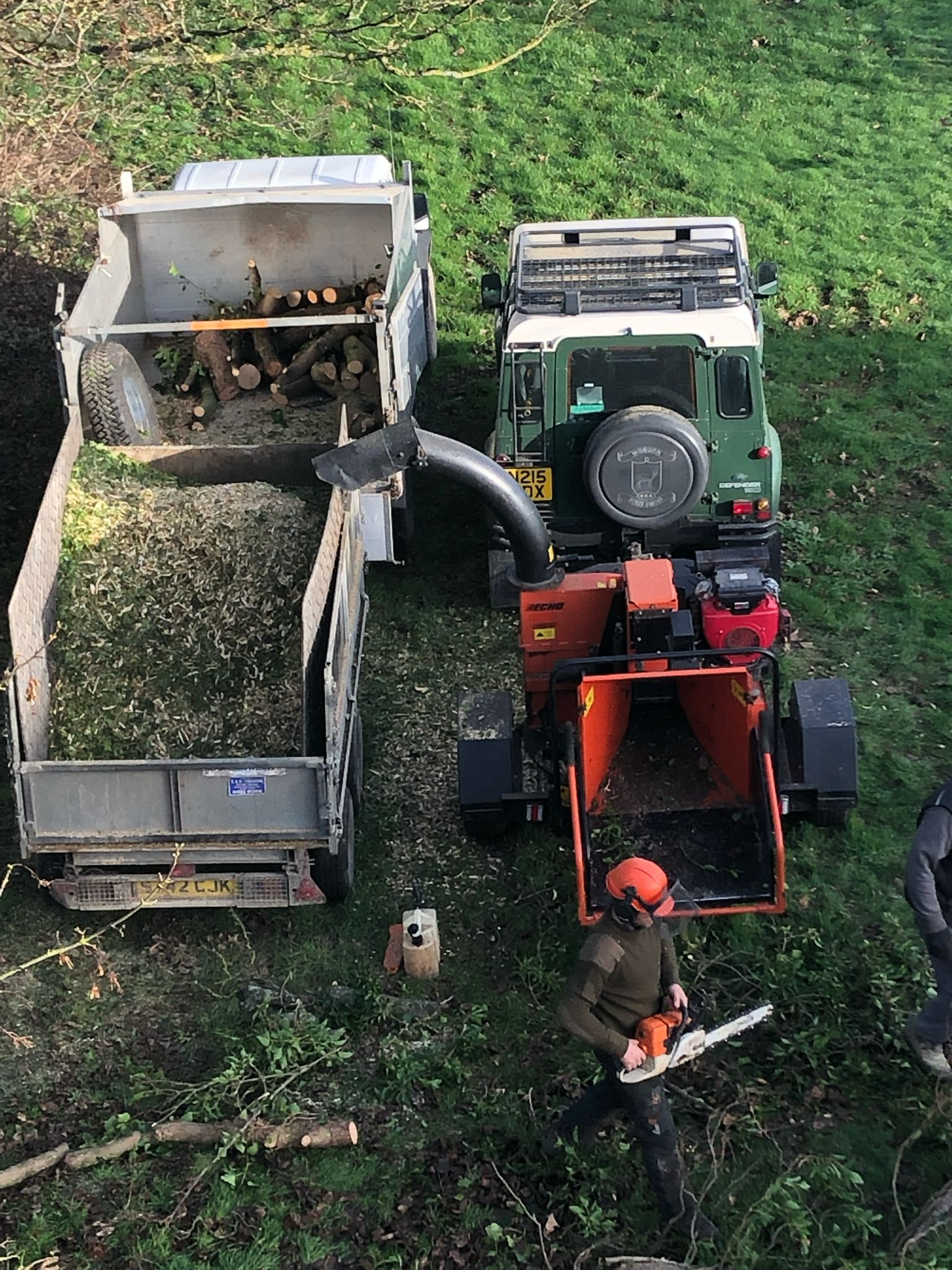 Tree Felling Project